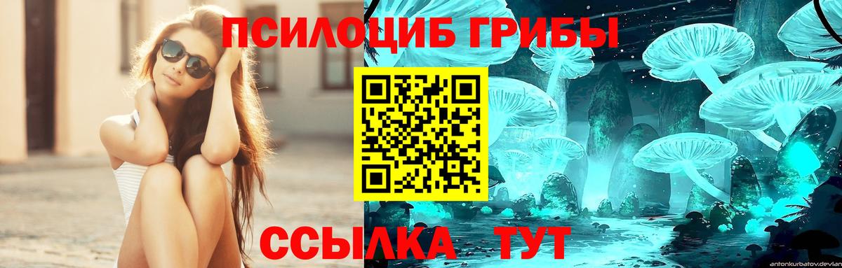 Псилоцибиновые грибы мицелий Звенигород