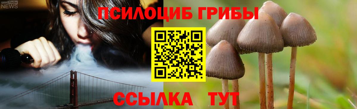 Звенигород  Псилоцибиновые грибы Magic Shrooms  Вход с VPN  купить наркоту  Галлюциногенные грибы прущие грибы 