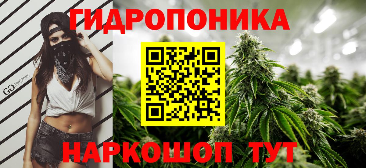 Шишки марихуана индика  Вход с VPN  Звенигород  Шишки марихуана тримм 